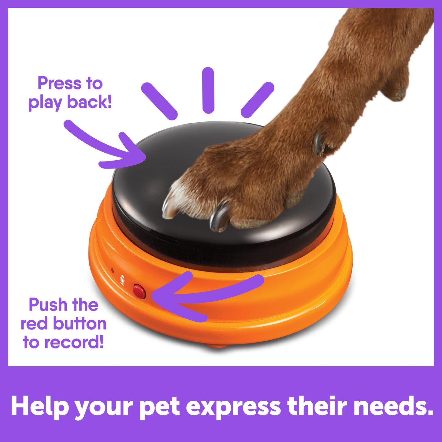 Hunger for Words Talking Pet Starter Set Recordable Buttons for Dog Training 4 Pack