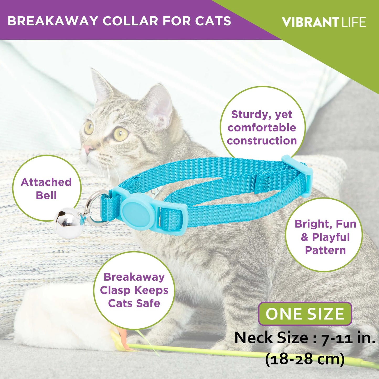 2-Pack Kitten Collar Navy Multi Fish and Solid Blue, One Size