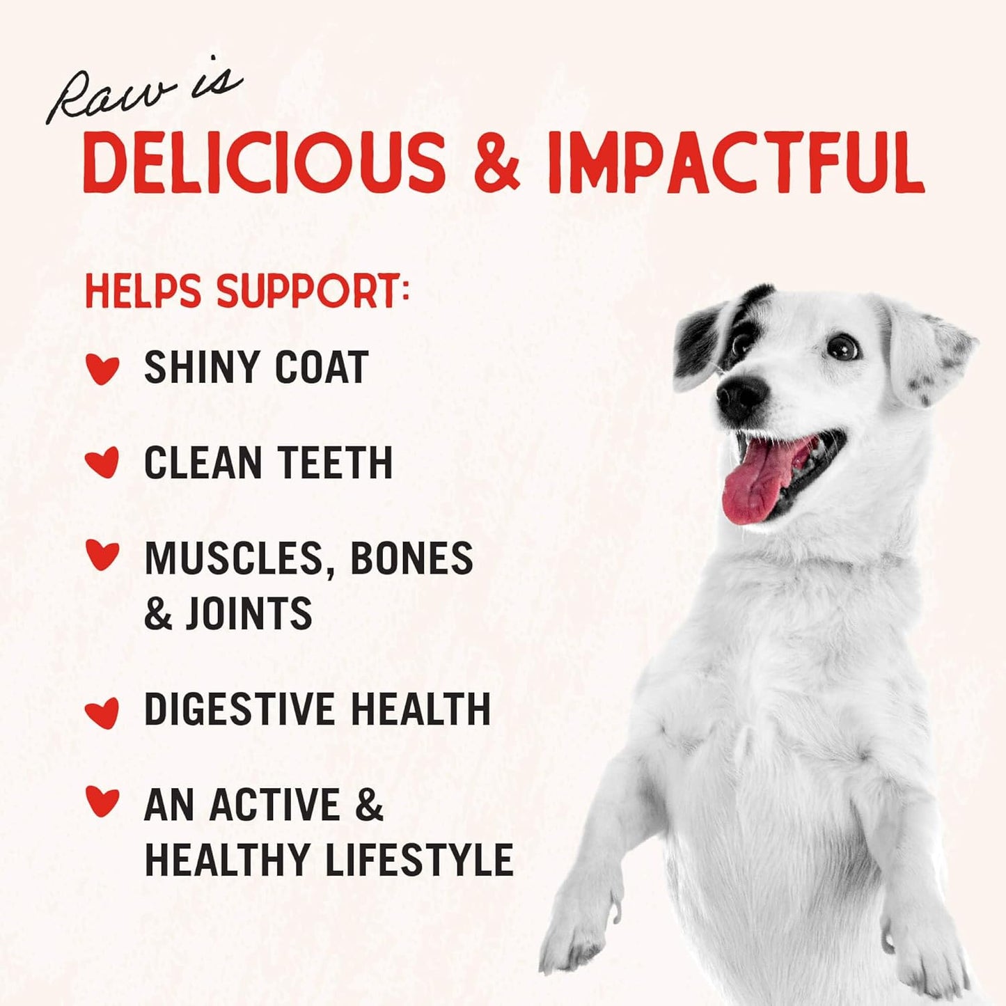 Freeze-Dried Raw Chicken Breast Dog Treats - Single Ingredient, No Additives - Premium Training Treats - Perfect for Picky Eaters - 2.75Oz Bag