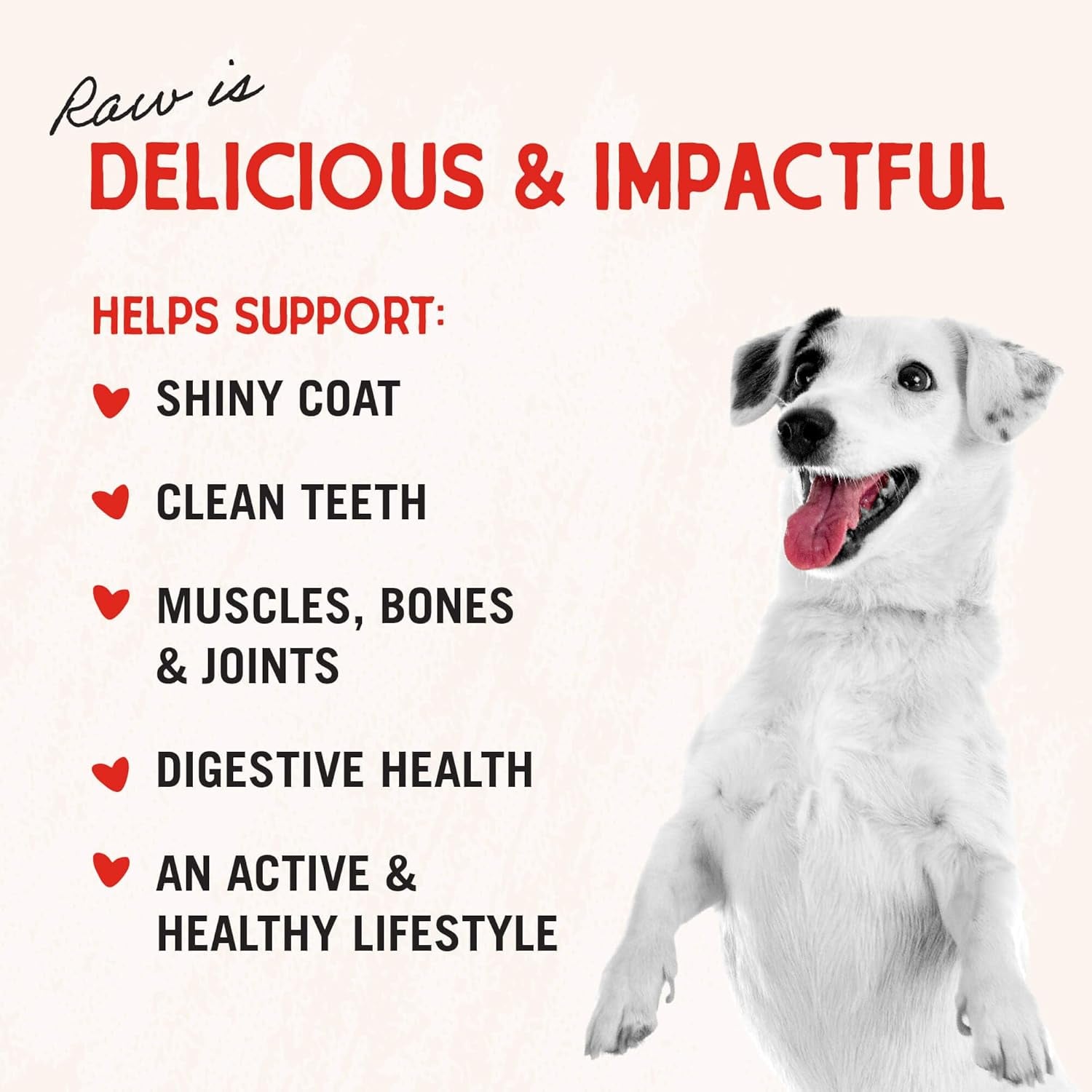 Freeze-Dried Raw Chicken Breast Dog Treats - Single Ingredient, No Additives - Premium Training Treats - Perfect for Picky Eaters - 2.75Oz Bag
