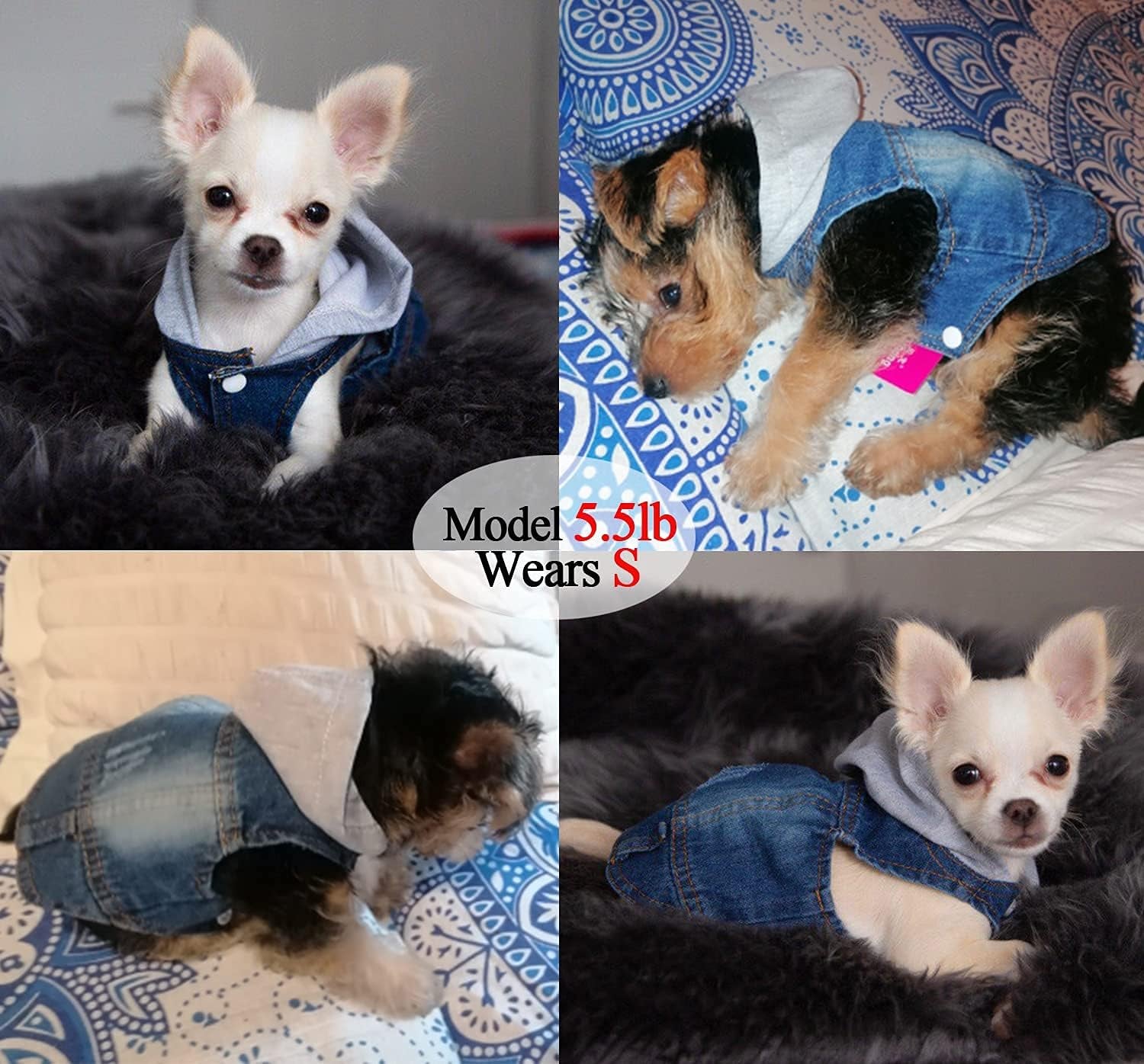 Pet Clothes Dog Jeans Jacket Cool Blue Denim Hoodie Coat, Puppy Clothing Shirt Costume, Doggy Vintage Washable Lapel Vest, Dog Classic T-Shirt Apparel for Small Medium Dogs Cats (Blue, Medium)