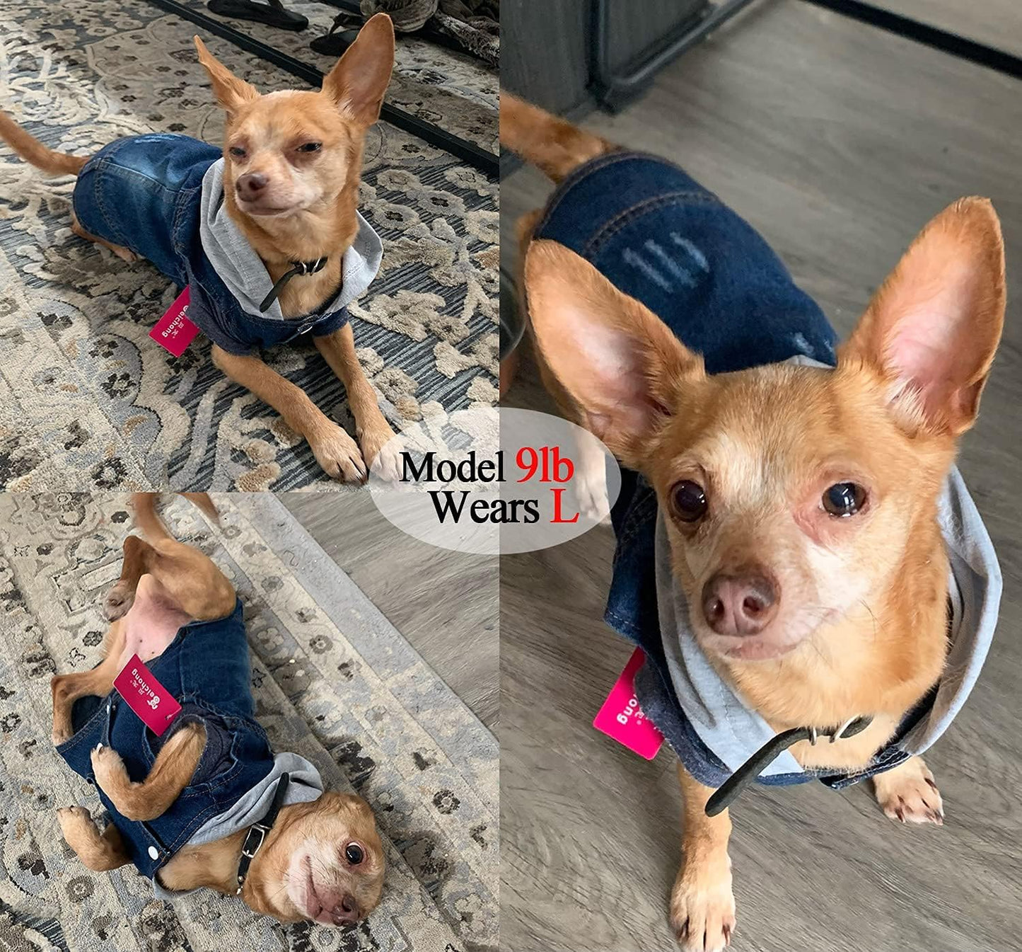 Pet Clothes Dog Jeans Jacket Cool Blue Denim Hoodie Coat, Puppy Clothing Shirt Costume, Doggy Vintage Washable Lapel Vest, Dog Classic T-Shirt Apparel for Small Medium Dogs Cats (Blue, Medium)