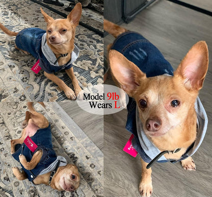Pet Clothes Dog Jeans Jacket Cool Blue Denim Hoodie Coat, Puppy Clothing Shirt Costume, Doggy Vintage Washable Lapel Vest, Dog Classic T-Shirt Apparel for Small Medium Dogs Cats (Blue, Medium)