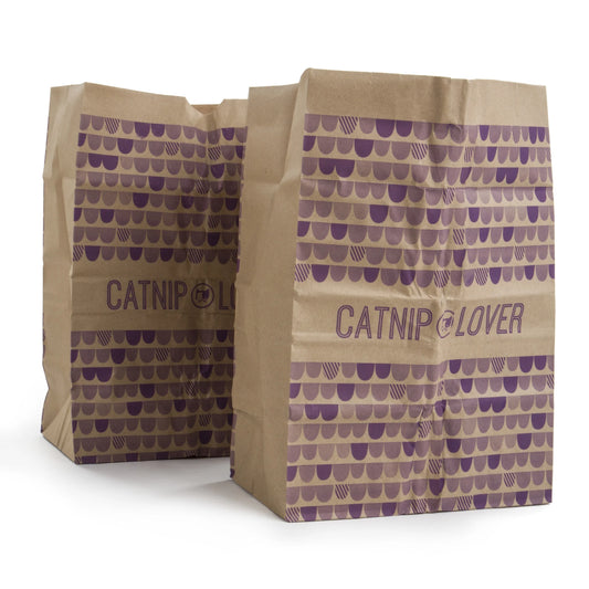 Catnip Caves Paper Bag Cat Toys, Scratch Activated Catnip Scent, 2 Count