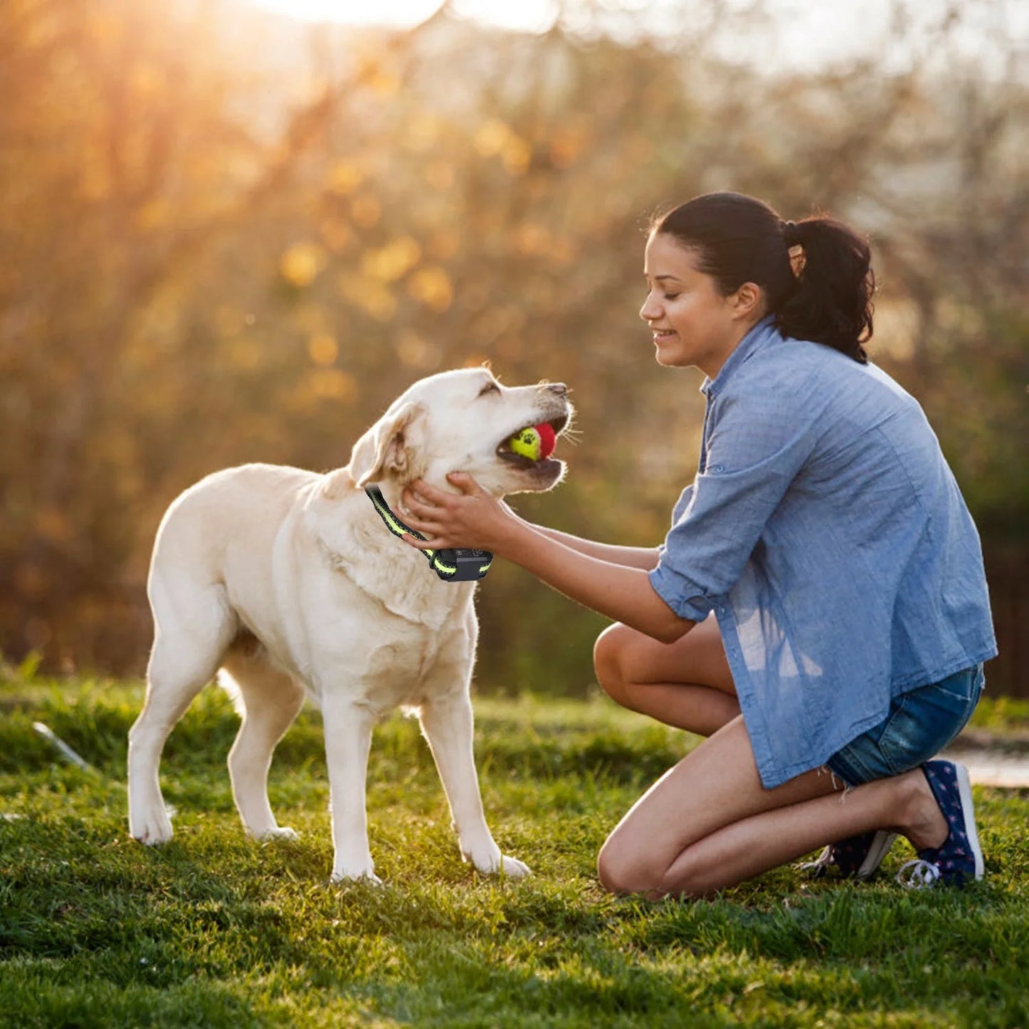 Dog Bark Collar Rechargeable Waterproof Beep Vibration Static Stimulation Bark Stopper Automatic Identification Collar with 6 Intensity Dual Modes