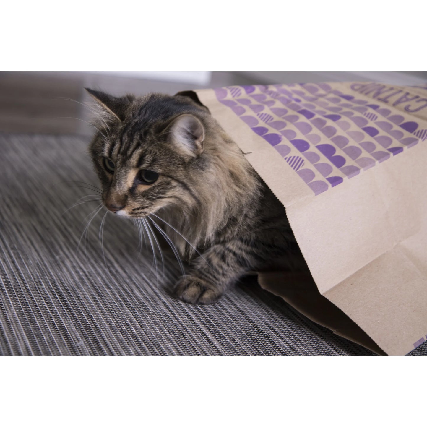 Catnip Caves Paper Bag Cat Toys, Scratch Activated Catnip Scent, 2 Count