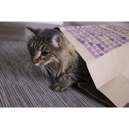 Catnip Caves Paper Bag Cat Toys, Scratch Activated Catnip Scent, 2 Count