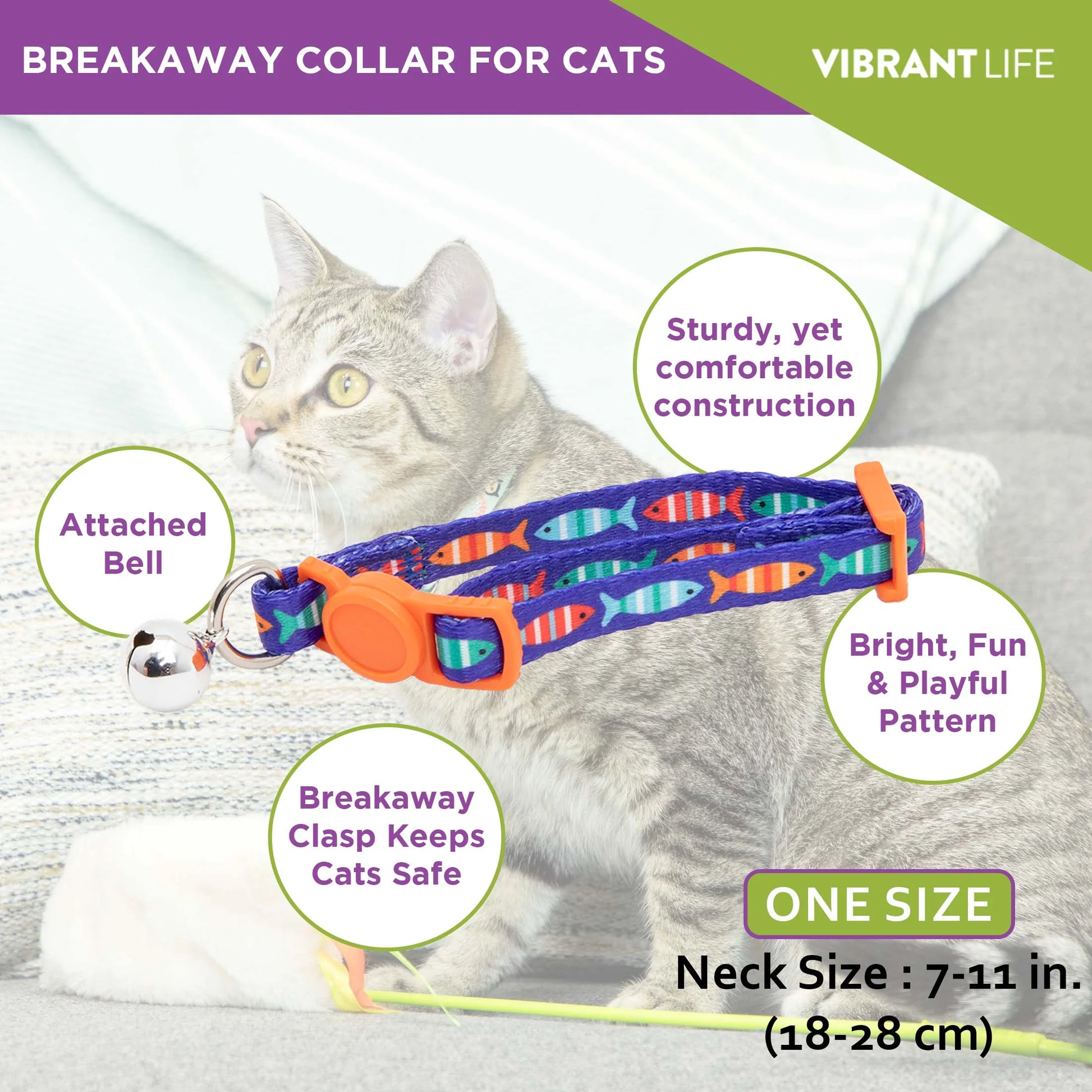 2-Pack Kitten Collar Navy Multi Fish and Solid Blue, One Size