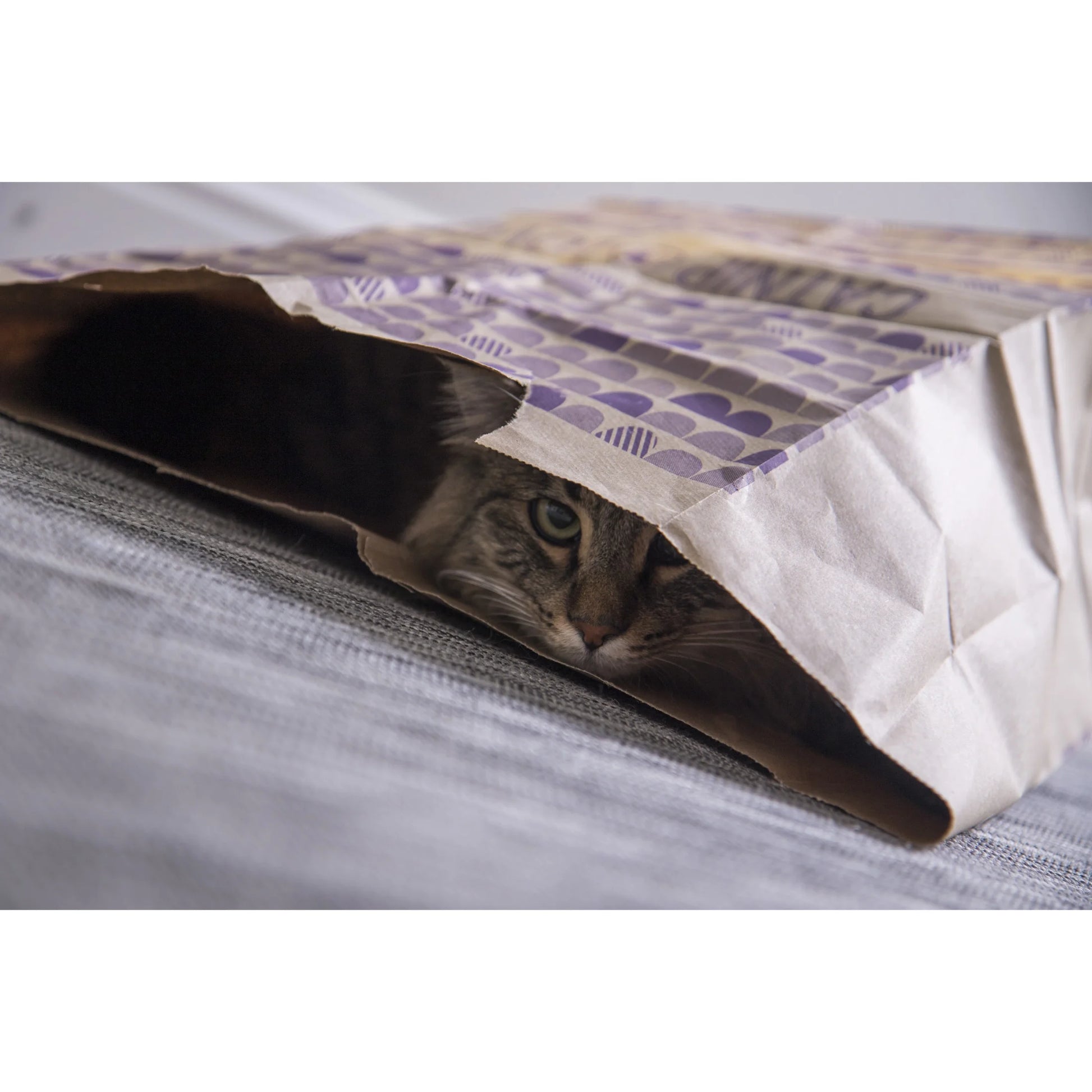 Catnip Caves Paper Bag Cat Toys, Scratch Activated Catnip Scent, 2 Count