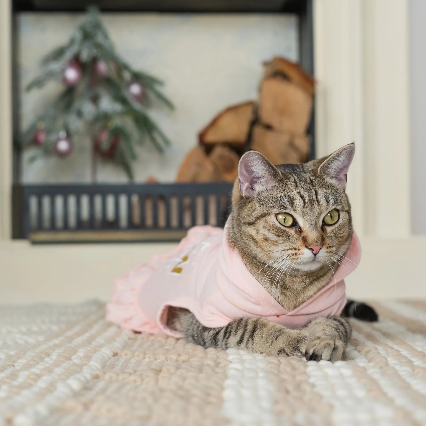 , Dog and Cat Clothes, Little Snow Angel Pet Hoodie, Pink, S