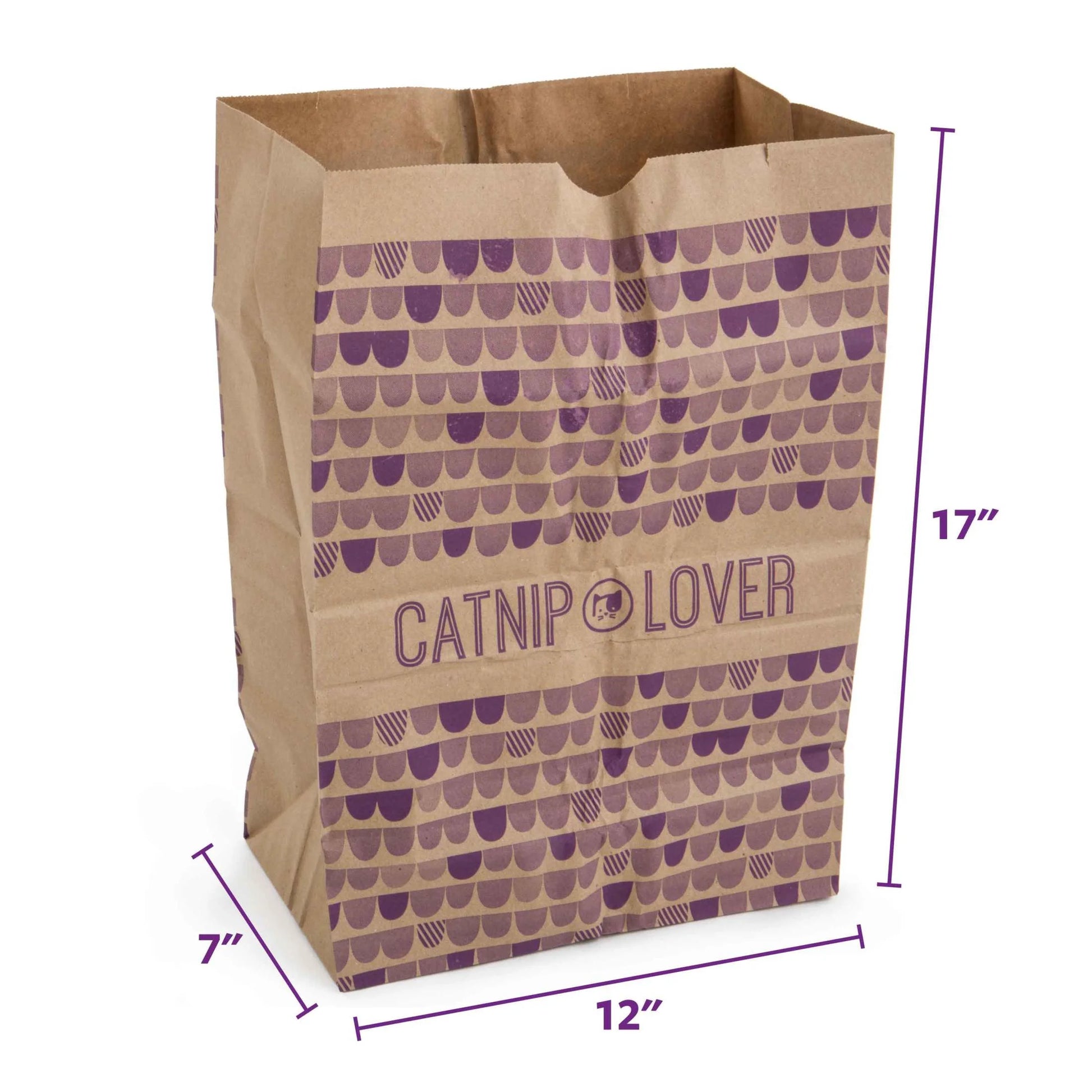 Catnip Caves Paper Bag Cat Toys, Scratch Activated Catnip Scent, 2 Count