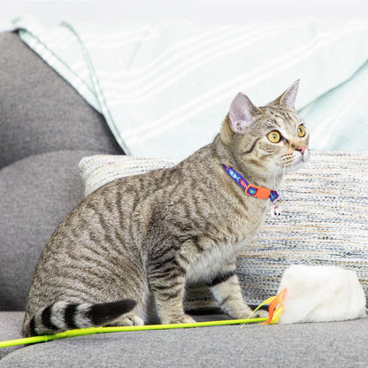 2-Pack Kitten Collar Navy Multi Fish and Solid Blue, One Size